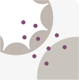 Graphic of ELAHERE attaching to outside of the cell